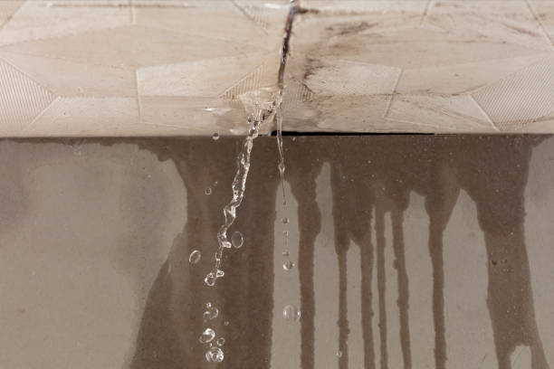 Professional Flood Damage Cleanup technician working in Brunsville, IA